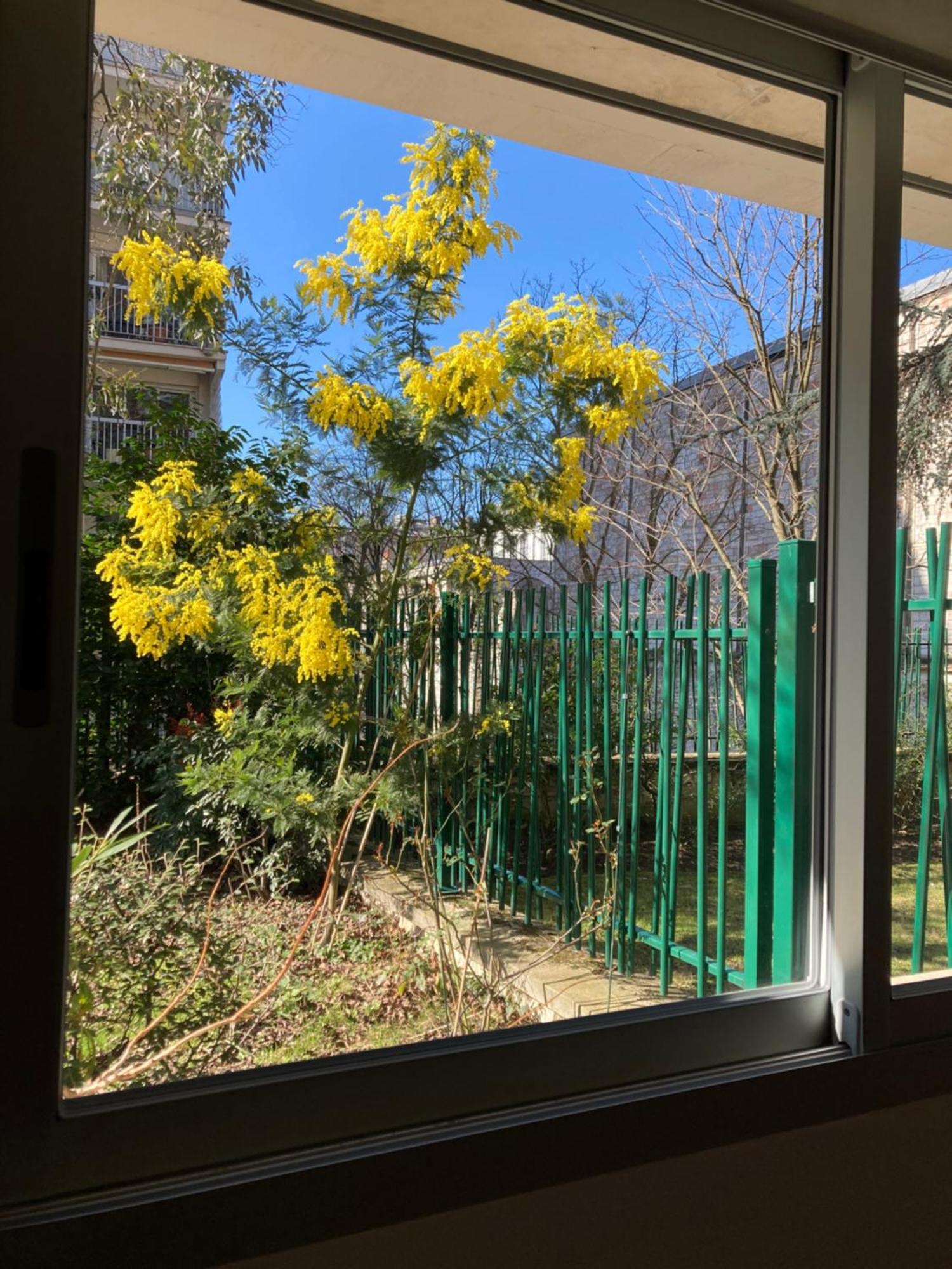 Appartement Vue Sur Jardin, 3 Pieces à Paris Extérieur photo